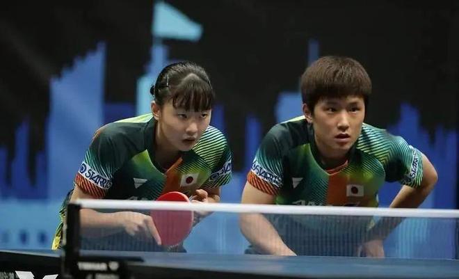 力的较量 力的较量