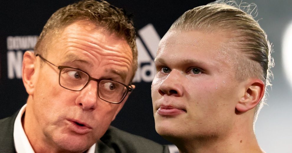 的理性胜出 的理性胜出